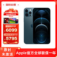 Apple 苹果 iPhone 12 pro max 蓝色 256G 全网通5G 智能手机 欧版 单卡 原封 未激活 原装配件 苹果认证翻新