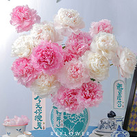 母亲节好礼：花点时间 珍稀芍药重瓣鲜花 玫瑰-白荔枝10枝