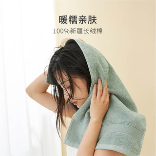 SANLI 三利 毛巾纯棉洗脸成人男女士家用洗澡全棉吸水速干不易掉毛酒店面巾 幽蓝+米白