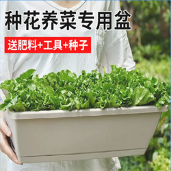 高品质阳台种菜盆种菜长方形花盆塑料长方形花盆蔬菜盆特大号耐用