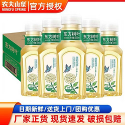 NONGFU SPRING 农夫山泉 东方树叶 0糖0脂0卡 无糖茶饮料 茉莉花茶335ml*24瓶