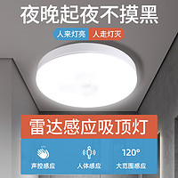 振牛 led感应吸顶灯声控楼道楼梯过道家用入户走廊自动雷达人体感应灯