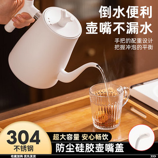 TiaNXI 天喜 烧水壶泡茶保恒温煮水壶不锈钢电热水壶长嘴咖啡手冲壶  1L