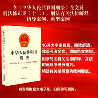 中华人民共和国刑法:含刑法修正案(十二)·法律解释·典型案例(16开)