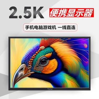 PRECHEN HD-101 2.5K触摸屏 10.1英寸 1920×1200 60Hz 黑色便携显示器