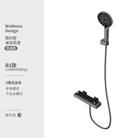 鼎菲鼎菲无顶喷淋浴花洒套装家用恒温沐浴器钢琴按键喷枪花洒枪灰色 B1恒温款(手持花洒+下出水)