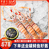 掌鲜生活新西兰南极鳌虾 1KG SCAMPI斯干比虾特大甜虾刺身深海牡丹虾 鳌虾2号(11-15只)