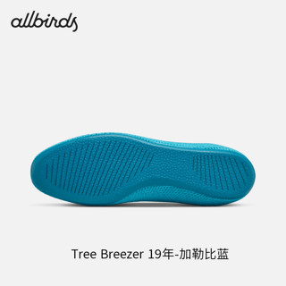 Allbirds 【好货】【41码】男女跑鞋一脚蹬休闲鞋船鞋芭蕾鞋 Tree Breezer 19年-加勒比蓝 41 男码