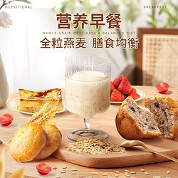 Nanguo 南国 生椰全粒燕麦片早餐即食麸皮冲饮健身代餐营养懒人椰奶速食