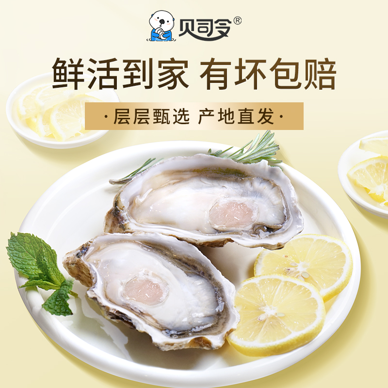 贝司令乳山生蚝鲜活特大10斤牡蛎活鲜海蛎子带箱新鲜海鲜水产