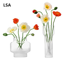 LSA 英国LSA进口手工磨砂玻璃花瓶大号客厅摆件装饰插花居家创意轻奢
