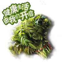 宜品道 头茬香椿芽 3斤装