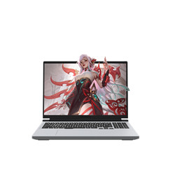 蛟龙16Pro 2023款 16英寸游戏本（R7-7745HX、16GB、512GB、RTX4060）