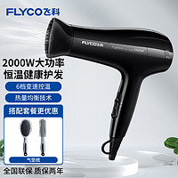 FLYCO 飞科 电吹风2000W大功率家用可折叠吹风机冷热风便携吹风筒FH6231 飞科电吹风 加造型梳套装