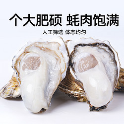 喵满分 鲜活乳山生蚝4XL净重5斤8-12个新鲜牡蛎产地直发水产海蛎子