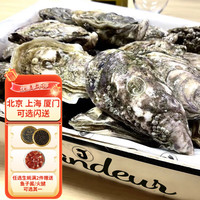 蠔门吉拉多J Grandeur生蚝鲜活空运/N1/N2刺身级即食12只装