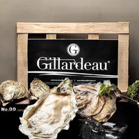 半蓝岛法国Gillardeau吉娜朵生蚝鲜活吉拉多刺身生蚝牡蛎贝类海鲜 N2(90-120g/只)12只