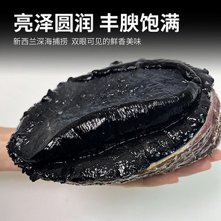 鲟食 新西兰黑金鲍 大鲍鱼高端食材生鲜佳品 海鲜水产 新西兰黑金鲍 300-400g/只