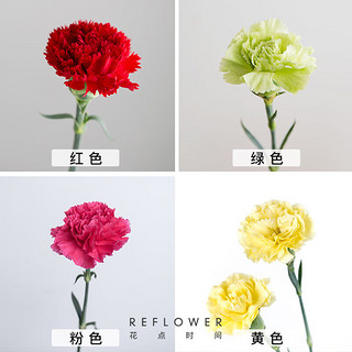 花点时间（Reflower）鲜花花束云南昆明基地直发鲜切花结婚女-星 【福利】单头康乃馨10枝-颜色