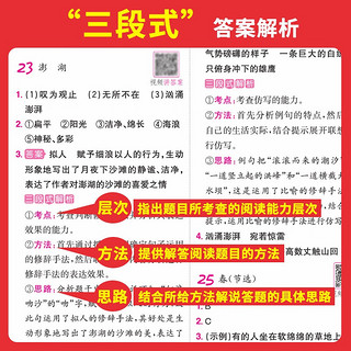 一本小学语文阅读训练100篇五年级 2024阅读题知识大盘点阅读理解万能答题模版方法阶梯真题试卷训练 阅读训练100篇5年级