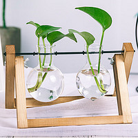 九月生 花瓶绿萝水培花盆器皿透明玻璃插花瓶创意水养植物花器客厅2个瓶