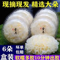 我当家6朵盒装古田新鲜银耳雪耳鲜活非干货白木耳纯软糯多胶 新鲜银耳3盒装