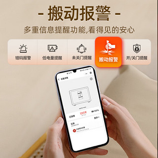 艾谱（AIPU）保险柜家用 指纹密码小型办公远程智能防盗保管箱胁迫 可入墙衣柜夹万保险箱 灵动II高30CM黑 【QB防盗认证】高30CM黑