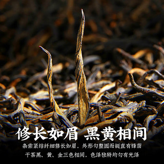 陈一凡 茶叶金骏眉红茶 新茶浓香型蜜香红茶100g