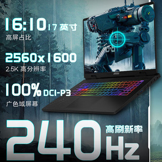 MSI 微星 神影17 2024款 十四代酷睿版 17英寸 游戏本