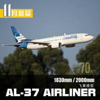 天智星大型遥控客机航模科技 AL37波音737MAX 双70MM涵道 2米电动大 到手飞