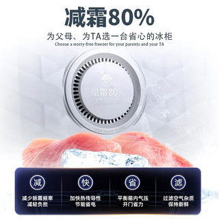  AUCMA/澳柯玛 一级能效 冰柜  251L