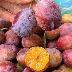 【省30元】京鲜生新鲜水果_mr.seafood 京鲜生 智利西梅2.5kg礼盒装j