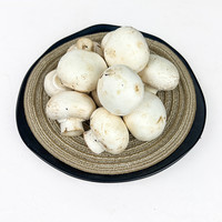新鲜蘑菇约500g 口蘑 食用菌菇 白蘑菇 口菇 双孢菇 煲汤炒菜蔬菜