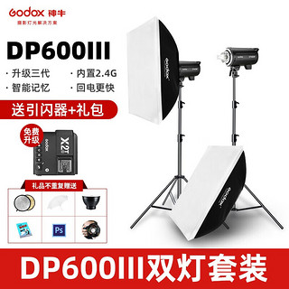 Godox 神牛 DP600III闪光灯600w三代影棚灯 DP600w三代两灯套装(送X2引闪器+大礼包）