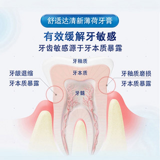 SENSODYNE 舒适达 清新薄荷牙膏120g 牙齿敏感冷热酸痛120g 1支装