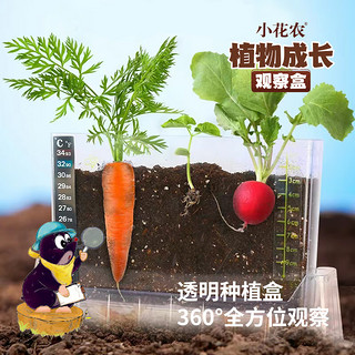 Haiyindao 孩因岛 万物生长系列 植物观察窗