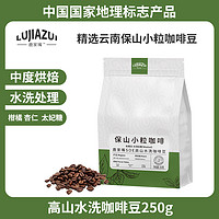 鹿家嘴 精品SOE高山水洗咖啡豆250g 中度烘焙SCA80+ 精品级