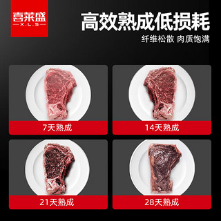 喜莱盛牛肉熟成柜商用家用干式湿式恒温排酸展示挂肉柜保鲜冷藏展示柜三门-5℃（香槟金款） 三门-5℃牛肉熟成柜【香槟金款】