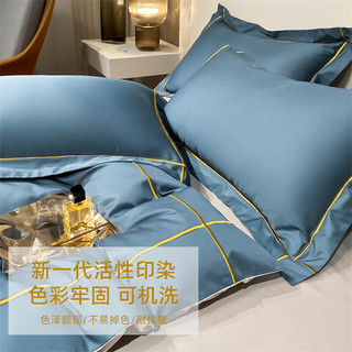 南极人仿天丝枕套 冰丝枕头套 夏季凉感丝 一对装 48*74cm