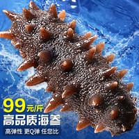 优上鲜 海参即食大连鲜活野生刺参辽海生刺参礼盒单个装 即食海参1斤