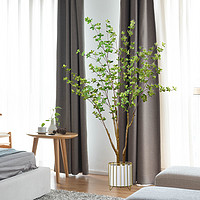 香环 仿真绿植装饰客厅摆件日本吊钟植物北欧大型室内马醉木落地假盆栽