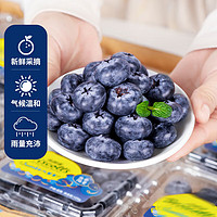 梦芷 言果纪新鲜蓝莓 酸甜口感新鲜水果 孕妇宝宝可食用 甄选 蓝莓 125g*6盒 装单 果18-22mm