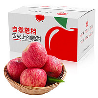 自然搭档 洛川苹果红富士  新鲜水果礼盒 4.5斤装 （净重4.5斤单果170g+）