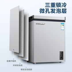 royalstar荣事达一级节能冰柜家用小型冷藏冷冻卧式冷柜商用两用迷你