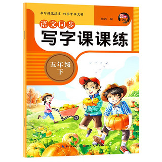 语文同步写字课课练五年级下册人教版 5年级语文同步练字帖下册 规范字体每日一练写字小