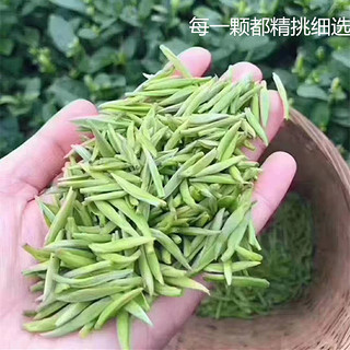 2024新茶头采特级开化龙顶明前茶高山茶雀舌嫩芽春茶绿茶产地直发