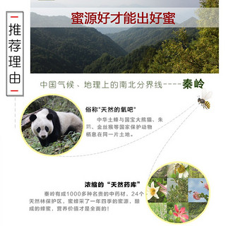 HUAFENG 话蜂 陕西秦岭深山土蜂蜜  玻璃瓶装 4斤