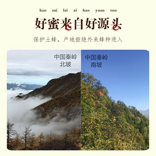 HUAFENG 话蜂 陕西秦岭深山土蜂蜜  玻璃瓶装 4斤