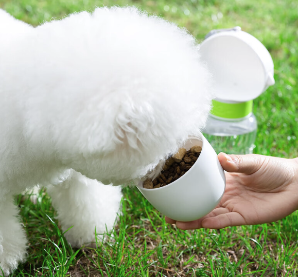 喝水装粮一“杯”搞定、PLUS会员：HKML 狗狗随行杯 白色饮水+喂食水300ML+零食200ML