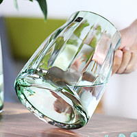 乐之沭 简约现代玻璃花瓶透明插花瓶北欧美式客厅餐桌轻奢家居电视柜摆件